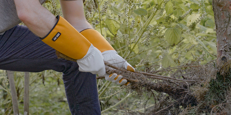 The Benefits of Comfortable Gardening Gloves for Green Thumb Enthusiasts
