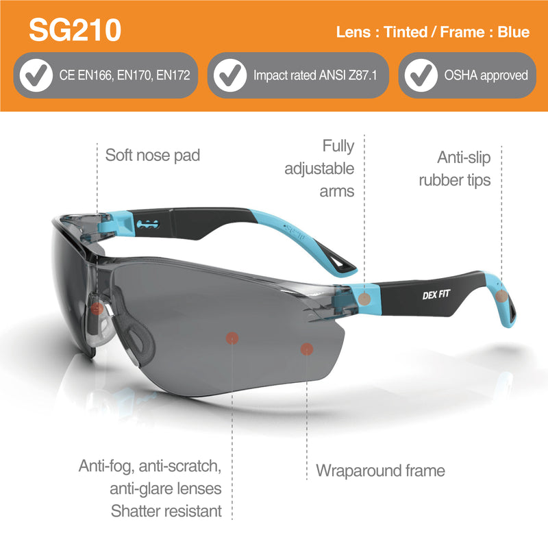 Load image into Gallery viewer, Safety Glasses SG210
