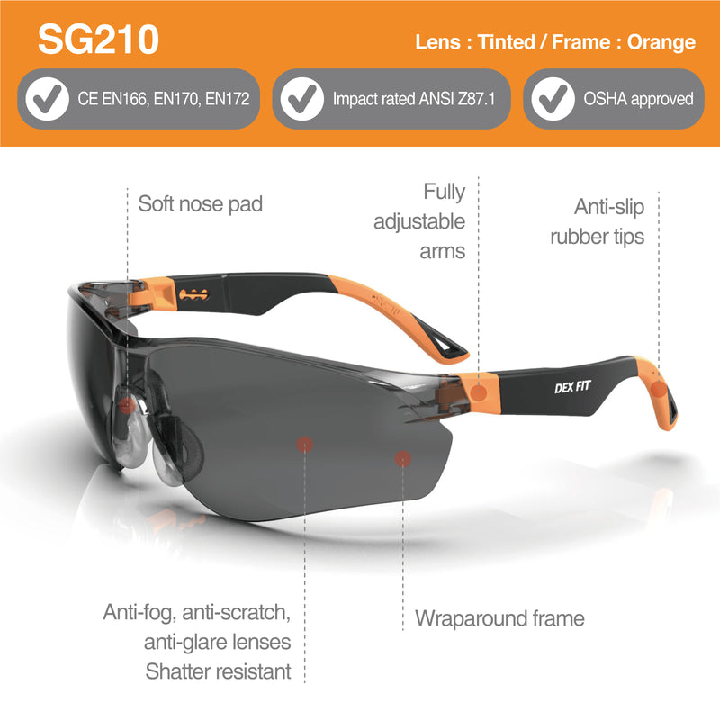 Load image into Gallery viewer, Safety Glasses SG210
